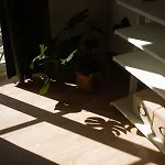 Comfort Im Zentrum 23 *