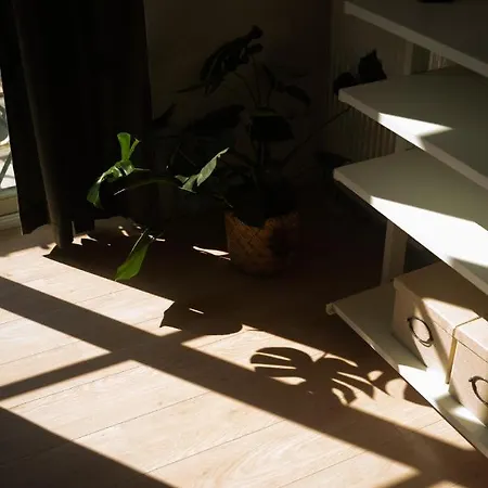 Comfort Im Zentrum 23 *