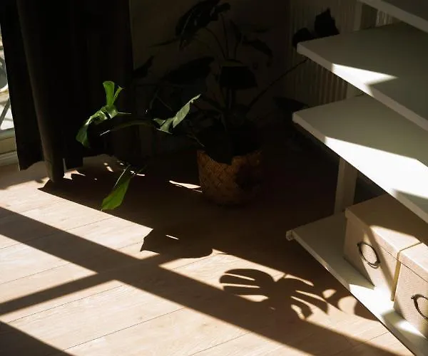 Comfort Im Zentrum 23 *